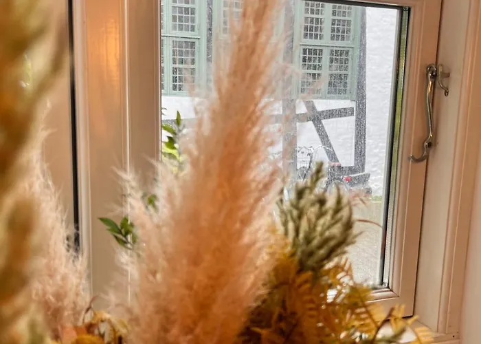 Апартаменты Hideaway Courtyard